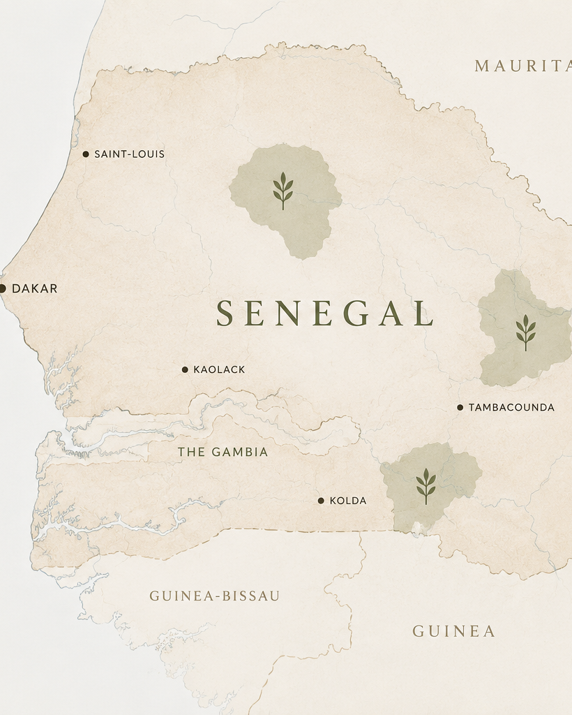 Map of Senegal with key cities labeled on a beige background